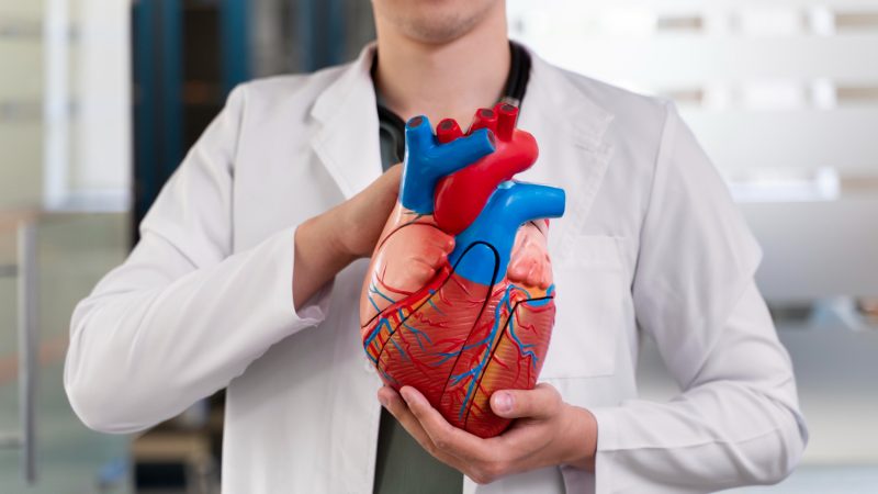 Doenças Cardiovasculares: tipos, fator de risco e prevenção