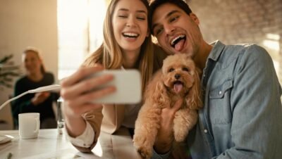 pet influencers